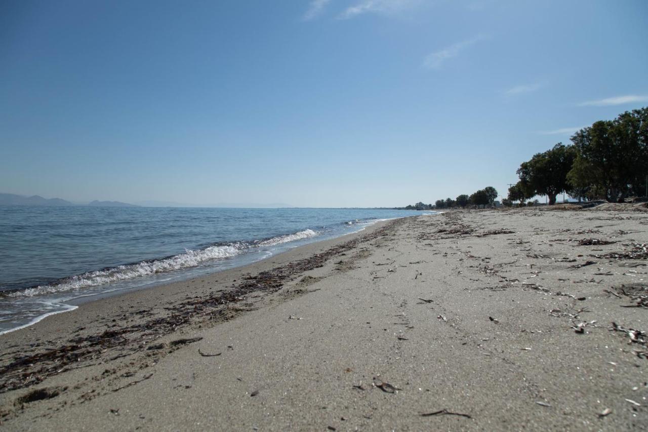 Miros Hotel Apartments Tigkaki  Bagian luar foto